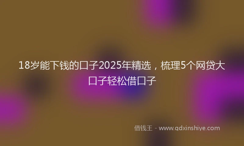 18岁能下钱的口子2025年精选，梳理5个网贷大口子轻松借口子