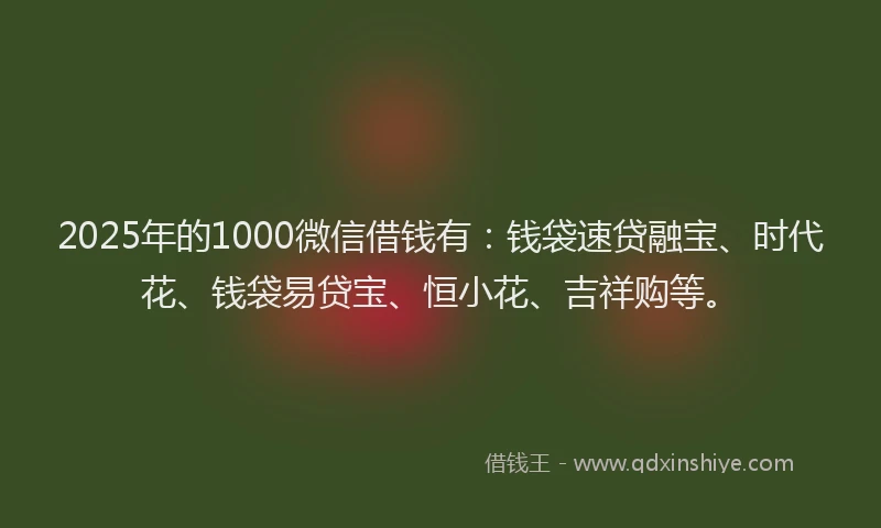 2025年的1000微信借钱有：钱袋速贷融宝、时代花、钱袋易贷宝、恒小花、吉祥购等。