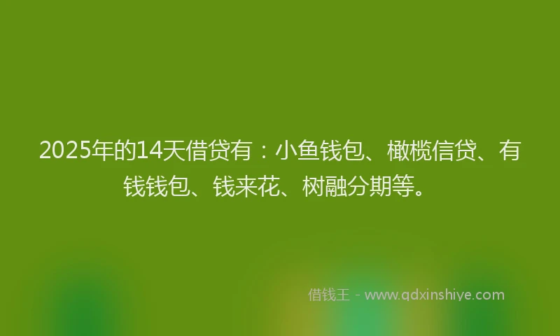 2025年的14天借贷有：小鱼钱包、橄榄信贷、有钱钱包、钱来花、树融分期等。
