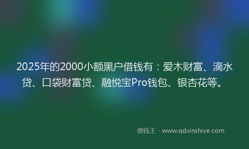 2025年的2000小额黑户借钱有：爱木财富、滴水贷、口袋财富贷、融悦宝Pro钱包、银杏花等。