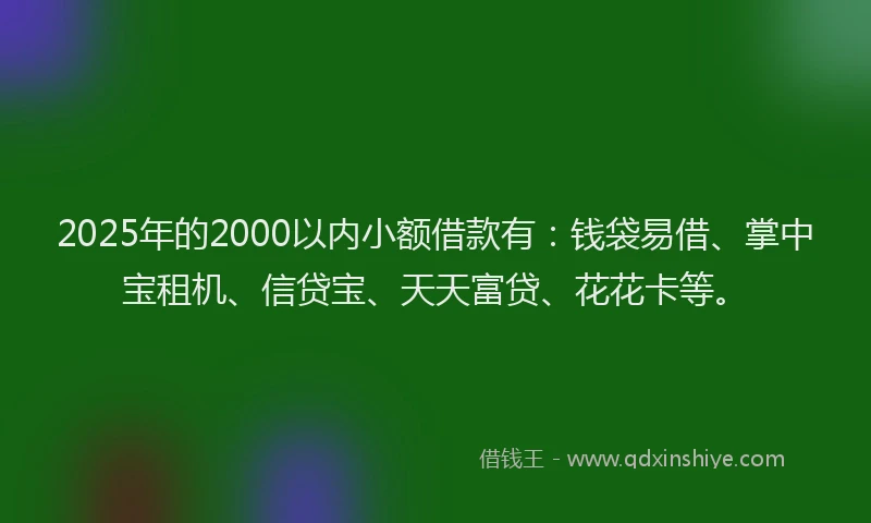 2025年的2000以内小额借款有：钱袋易借、掌中宝租机、信贷宝、天天富贷、花花卡等。
