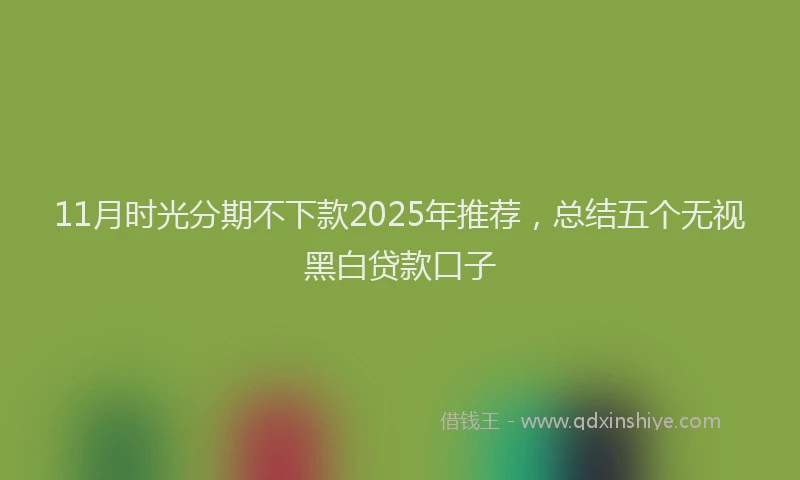 11月时光分期不下款2025年推荐，总结五个无视黑白贷款口子