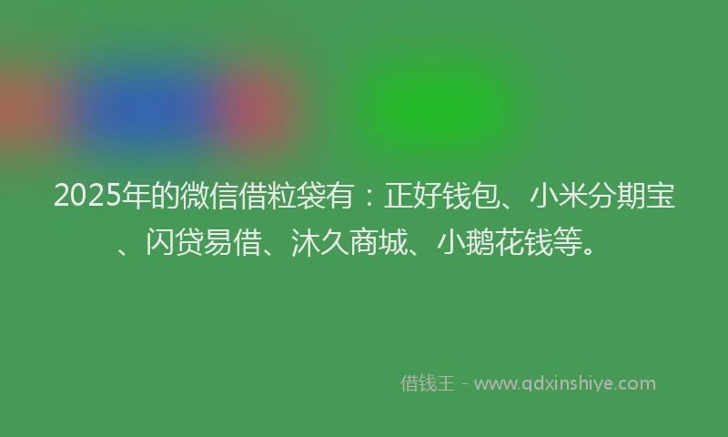 2025年的微信借粒袋有：正好钱包、小米分期宝、闪贷易借、沐久商城、小鹅花钱等。