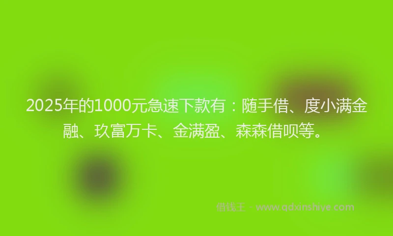2025年的1000元急速下款有：随手借、度小满金融、玖富万卡、金满盈、森森借呗等。