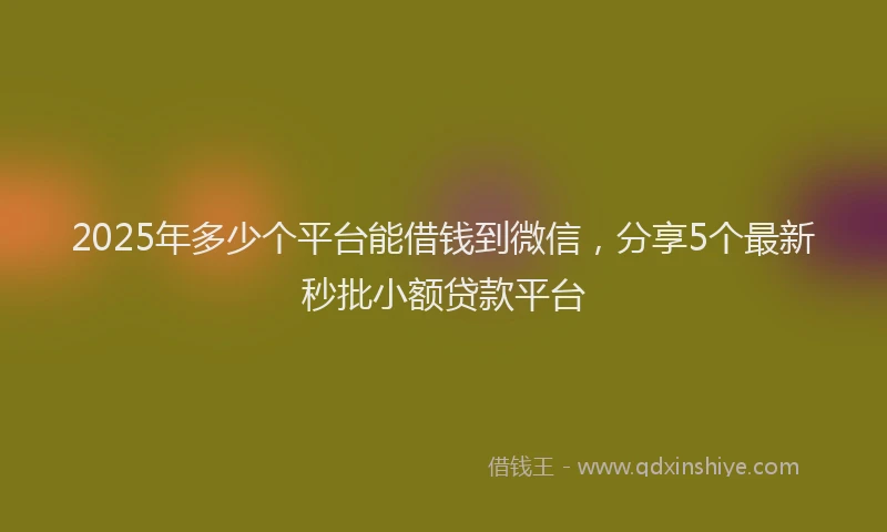 2025年多少个平台能借钱到微信，分享5个最新秒批小额贷款平台