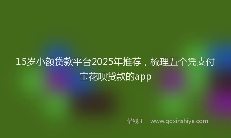 15岁小额贷款平台2025年推荐，梳理五个凭支付宝花呗贷款的app