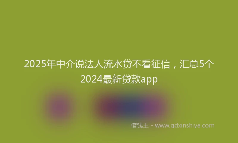 2025年中介说法人流水贷不看征信，汇总5个2024最新贷款app