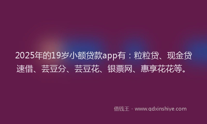 2025年的19岁小额贷款app有：粒粒贷、现金贷速借、芸豆分、芸豆花、银票网、惠享花花等。