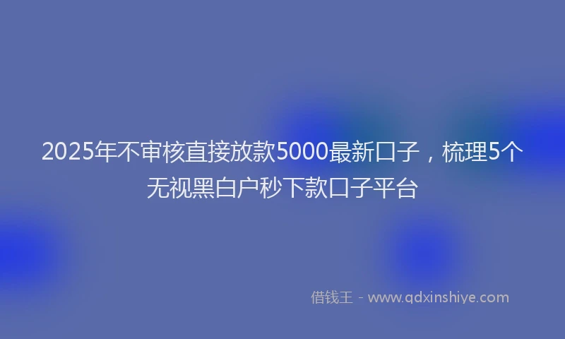 2025年不审核直接放款5000最新口子，梳理5个无视黑白户秒下款口子平台