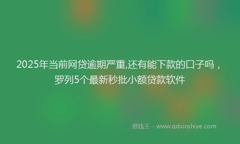 2025年当前网贷逾期严重,还有能下款的口子吗，罗列5个最新秒批小额贷款软件