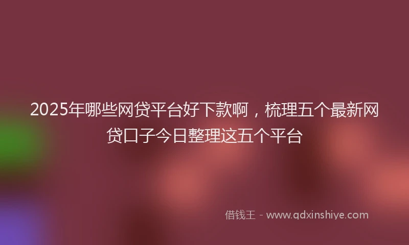 2025年哪些网贷平台好下款啊，梳理五个最新网贷口子今日整理这五个平台