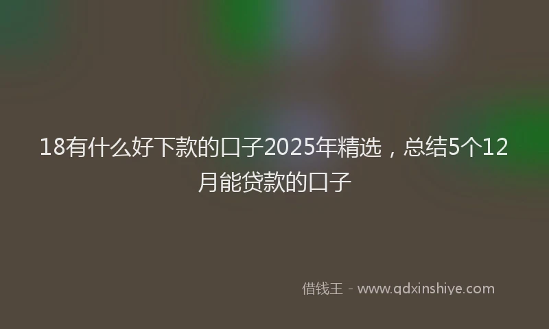 18有什么好下款的口子2025年精选，总结5个12月能贷款的口子