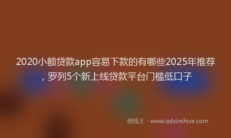 2020小额贷款app容易下款的有哪些2025年推荐，罗列5个新上线贷款平台门槛低口子
