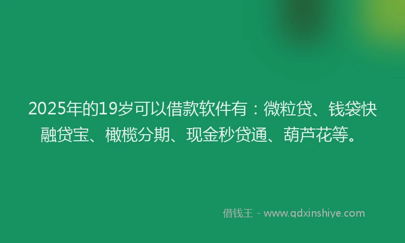 2025年的19岁可以借款软件有：微粒贷、钱袋快融贷宝、橄榄分期、现金秒贷通、葫芦花等。