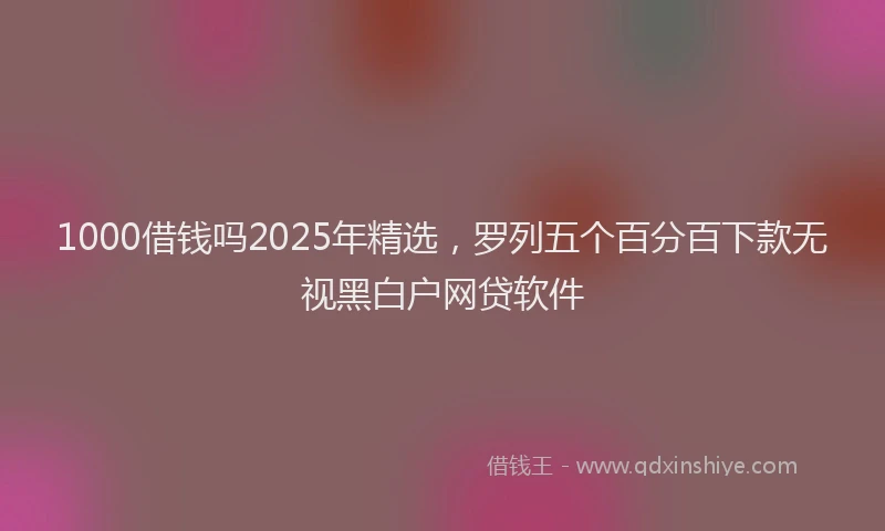 1000借钱吗2025年精选，罗列五个百分百下款无视黑白户网贷软件