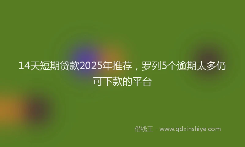 14天短期贷款2025年推荐，罗列5个逾期太多仍可下款的平台
