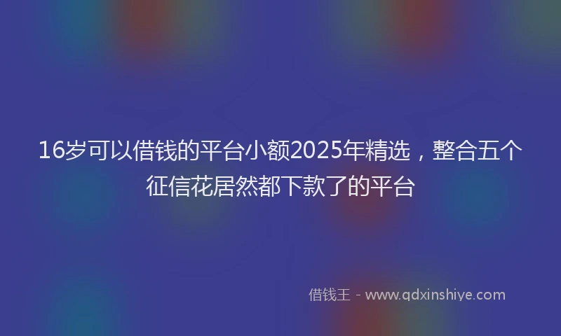 16岁可以借钱的平台小额2025年精选，整合五个征信花居然都下款了的平台