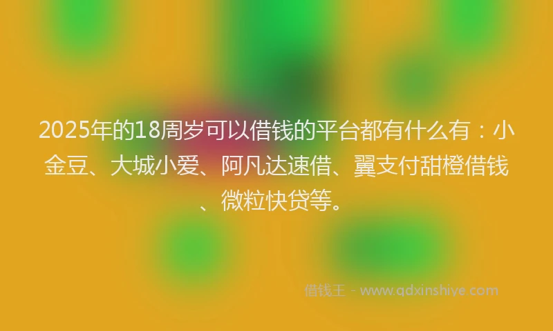 2025年的18周岁可以借钱的平台都有什么有：小金豆、大城小爱、阿凡达速借、翼支付甜橙借钱、微粒快贷等。