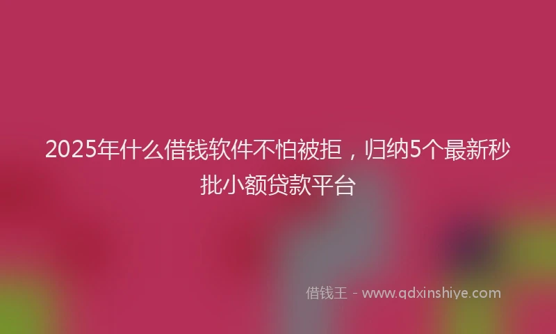 2025年什么借钱软件不怕被拒，归纳5个最新秒批小额贷款平台