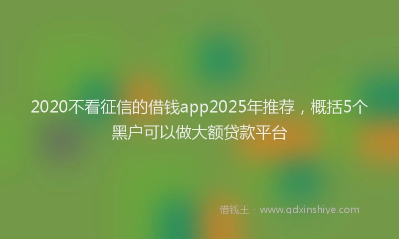 2020不看征信的借钱app2025年推荐，概括5个黑户可以做大额贷款平台