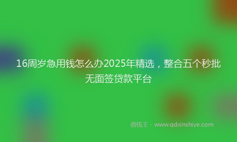16周岁急用钱怎么办2025年精选，整合五个秒批无面签贷款平台