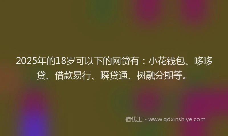 2025年的18岁可以下的网贷有：小花钱包、哆哆贷、借款易行、瞬贷通、树融分期等。