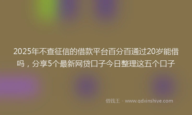 2025年不查征信的借款平台百分百通过20岁能借吗，分享5个最新网贷口子今日整理这五个口子