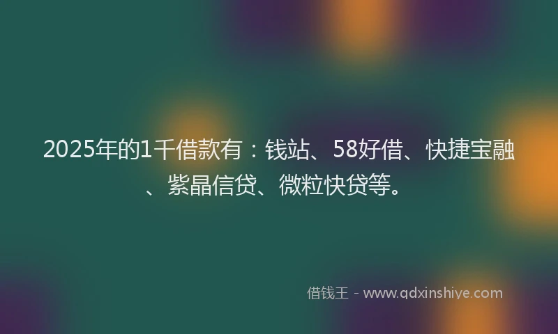 2025年的1千借款有：钱站、58好借、快捷宝融、紫晶信贷、微粒快贷等。