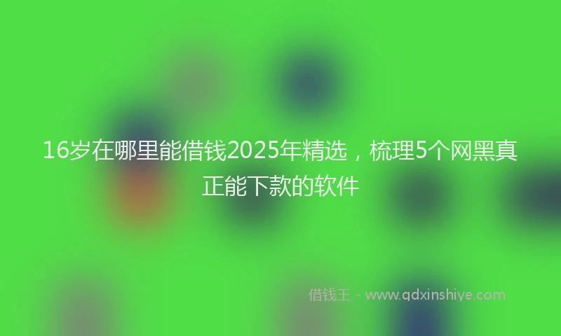16岁在哪里能借钱2025年精选，梳理5个网黑真正能下款的软件