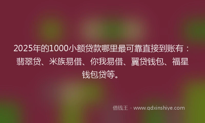 2025年的1000小额贷款哪里最可靠直接到账有：翡翠贷、米族易借、你我易借、翼贷钱包、福星钱包贷等。
