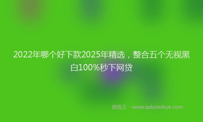 2022年哪个好下款2025年精选，整合五个无视黑白100%秒下网贷