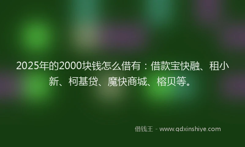 2025年的2000块钱怎么借有：借款宝快融、租小新、柯基贷、魔快商城、榕贝等。