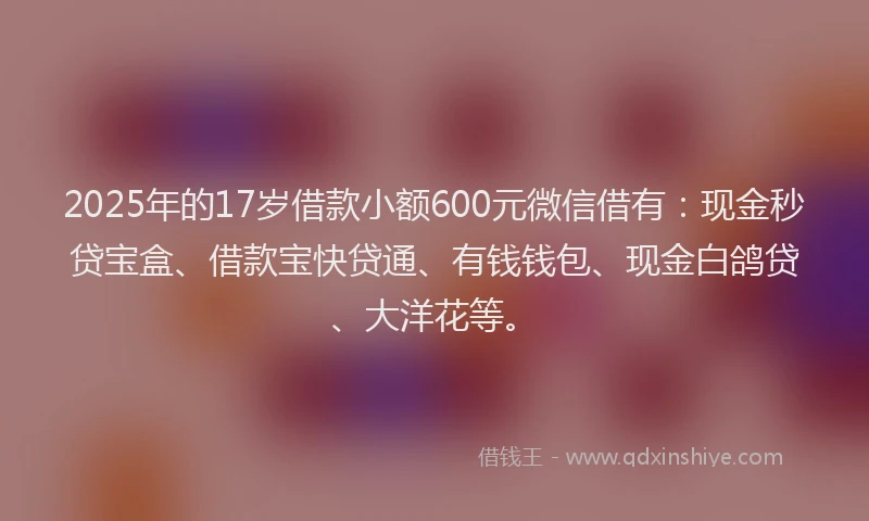 2025年的17岁借款小额600元微信借有：现金秒贷宝盒、借款宝快贷通、有钱钱包、现金白鸽贷、大洋花等。