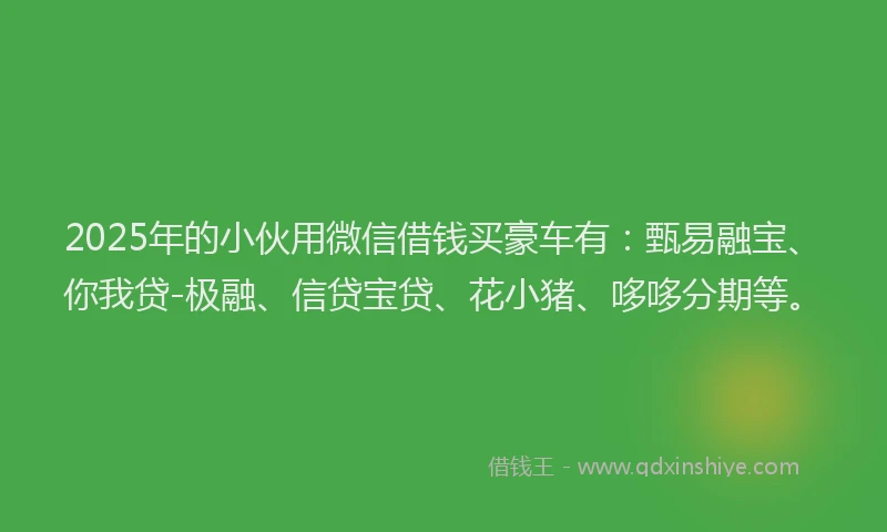 2025年的小伙用微信借钱买豪车有：甄易融宝、你我贷-极融、信贷宝贷、花小猪、哆哆分期等。