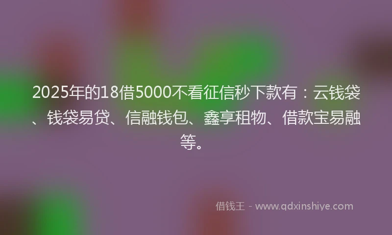 2025年的18借5000不看征信秒下款有：云钱袋、钱袋易贷、信融钱包、鑫享租物、借款宝易融等。