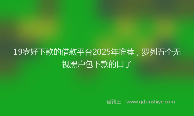 19岁好下款的借款平台2025年推荐，罗列五个无视黑户包下款的口子