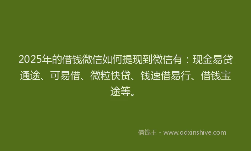2025年的借钱微信如何提现到微信有：现金易贷通途、可易借、微粒快贷、钱速借易行、借钱宝途等。