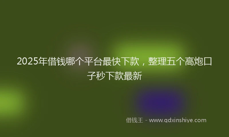2025年借钱哪个平台最快下款，整理五个高炮口子秒下款最新