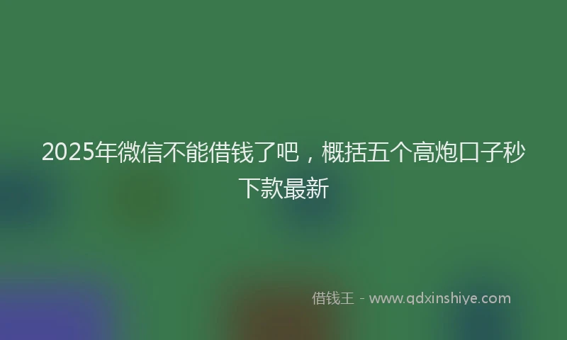 2025年微信不能借钱了吧，概括五个高炮口子秒下款最新
