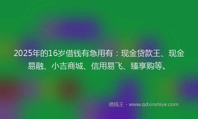 2025年的16岁借钱有急用有：现金贷款王、现金易融、小吉商城、信用易飞、臻享购等。