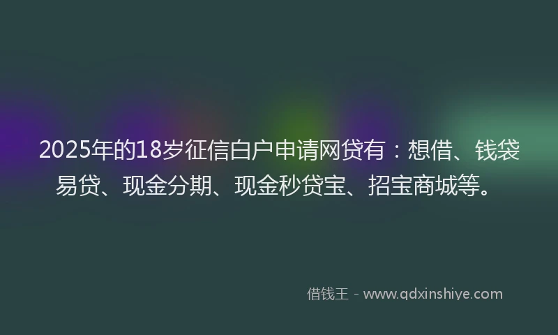 2025年的18岁征信白户申请网贷有：想借、钱袋易贷、现金分期、现金秒贷宝、招宝商城等。