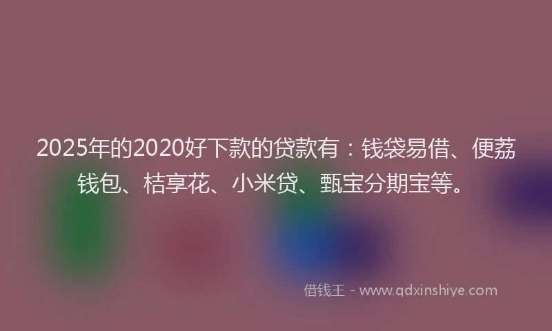 2025年的2020好下款的贷款有：钱袋易借、便荔钱包、桔享花、小米贷、甄宝分期宝等。