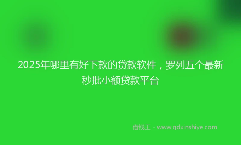 2025年哪里有好下款的贷款软件，罗列五个最新秒批小额贷款平台