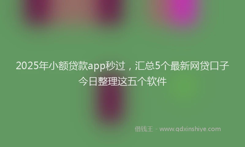 2025年小额贷款app秒过，汇总5个最新网贷口子今日整理这五个软件