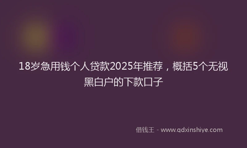 18岁急用钱个人贷款2025年推荐，概括5个无视黑白户的下款口子
