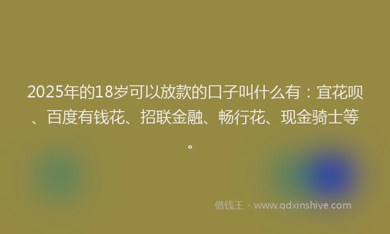 2025年的18岁可以放款的口子叫什么有：宜花呗、百度有钱花、招联金融、畅行花、现金骑士等。
