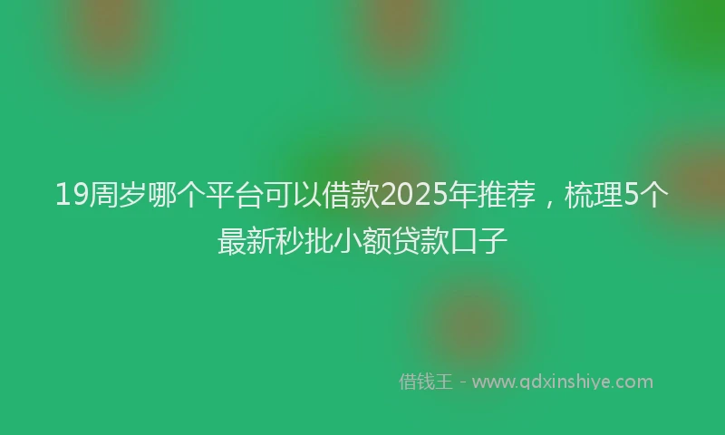 19周岁哪个平台可以借款2025年推荐，梳理5个最新秒批小额贷款口子