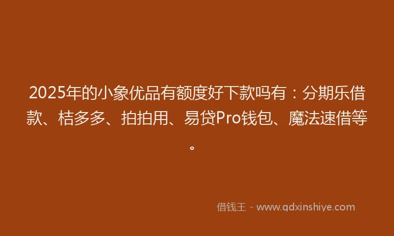 2025年的小象优品有额度好下款吗有：分期乐借款、桔多多、拍拍用、易贷Pro钱包、魔法速借等。