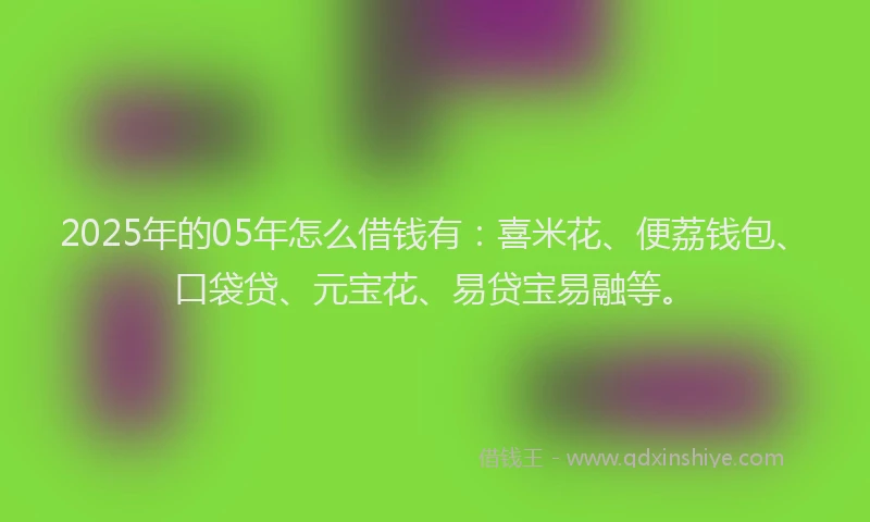 2025年的05年怎么借钱有：喜米花、便荔钱包、口袋贷、元宝花、易贷宝易融等。