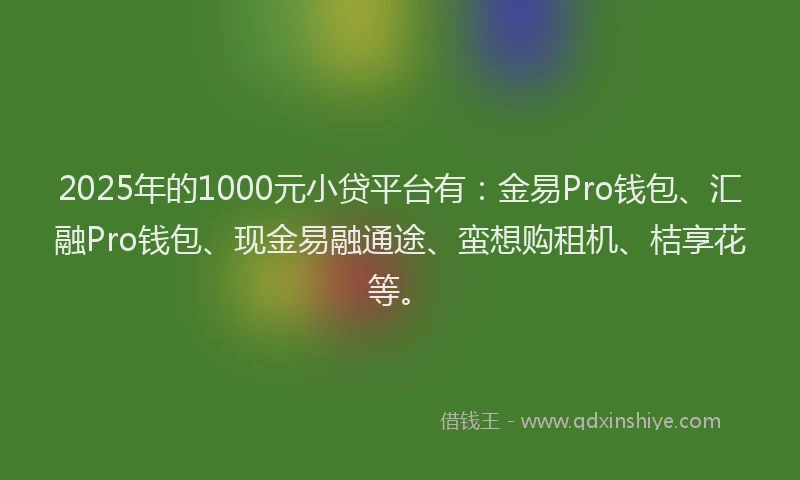 2025年的1000元小贷平台有：金易Pro钱包、汇融Pro钱包、现金易融通途、蛮想购租机、桔享花等。